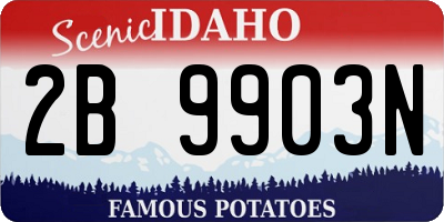 ID license plate 2B9903N