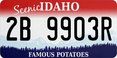 ID license plate 2B9903R