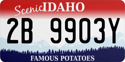 ID license plate 2B9903Y