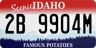ID license plate 2B9904M