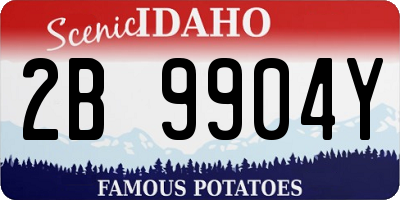 ID license plate 2B9904Y