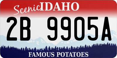 ID license plate 2B9905A