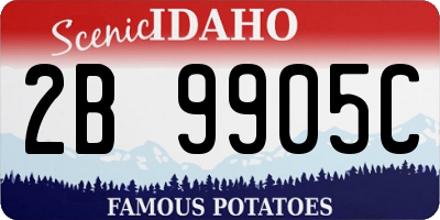 ID license plate 2B9905C