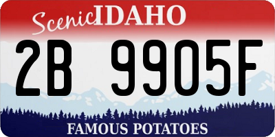 ID license plate 2B9905F