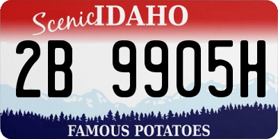 ID license plate 2B9905H