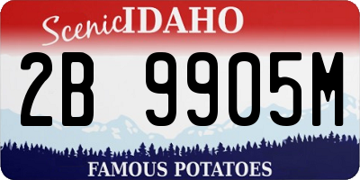 ID license plate 2B9905M