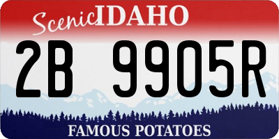 ID license plate 2B9905R