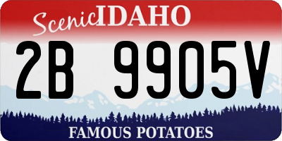 ID license plate 2B9905V