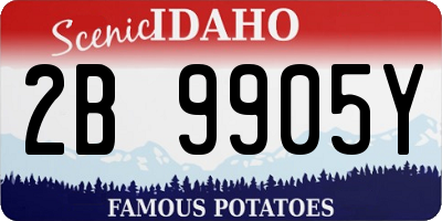 ID license plate 2B9905Y