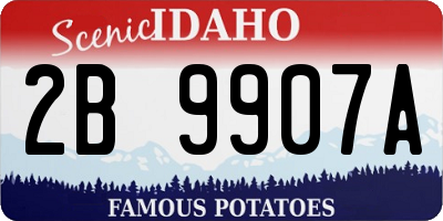 ID license plate 2B9907A
