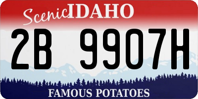 ID license plate 2B9907H