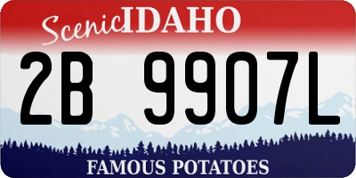 ID license plate 2B9907L
