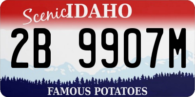 ID license plate 2B9907M