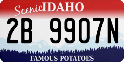 ID license plate 2B9907N