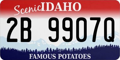 ID license plate 2B9907Q