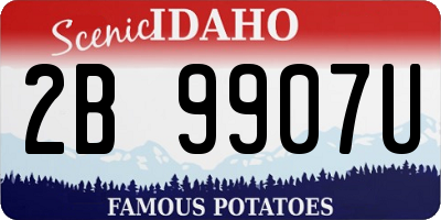 ID license plate 2B9907U