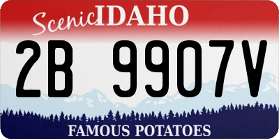 ID license plate 2B9907V