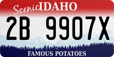 ID license plate 2B9907X