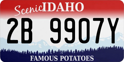 ID license plate 2B9907Y