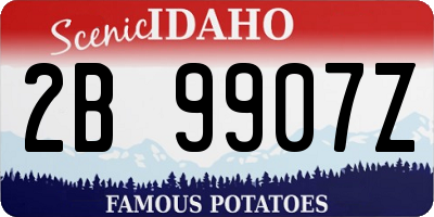 ID license plate 2B9907Z