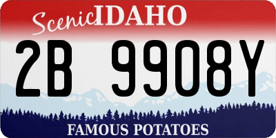 ID license plate 2B9908Y