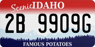 ID license plate 2B9909G