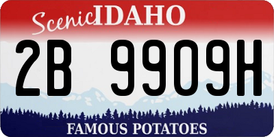 ID license plate 2B9909H