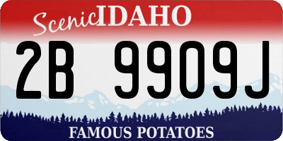 ID license plate 2B9909J