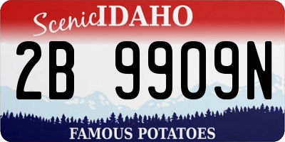 ID license plate 2B9909N