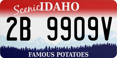 ID license plate 2B9909V