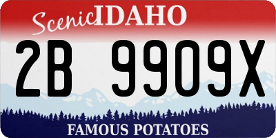 ID license plate 2B9909X