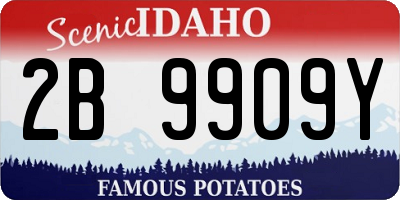 ID license plate 2B9909Y