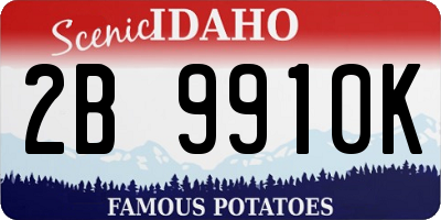 ID license plate 2B9910K
