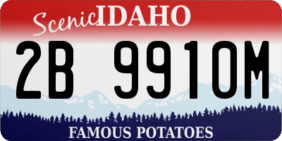 ID license plate 2B9910M