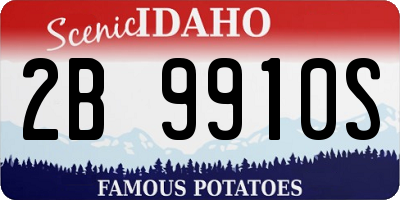 ID license plate 2B9910S
