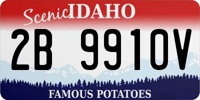 ID license plate 2B9910V