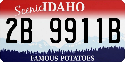 ID license plate 2B9911B