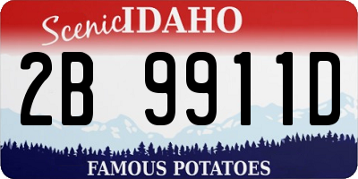 ID license plate 2B9911D