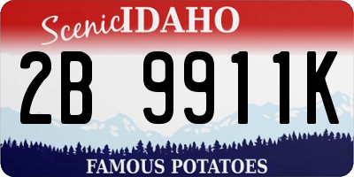 ID license plate 2B9911K
