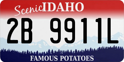 ID license plate 2B9911L