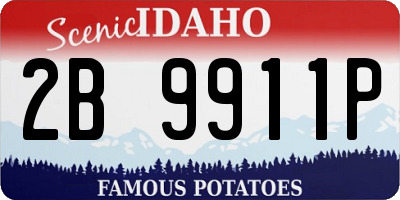 ID license plate 2B9911P
