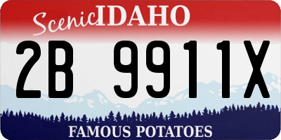 ID license plate 2B9911X