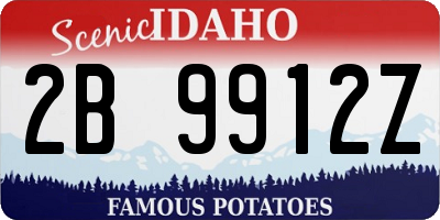 ID license plate 2B9912Z