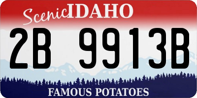 ID license plate 2B9913B