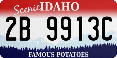 ID license plate 2B9913C