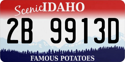 ID license plate 2B9913D
