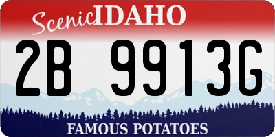 ID license plate 2B9913G