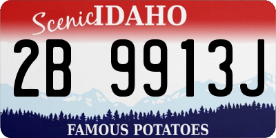 ID license plate 2B9913J
