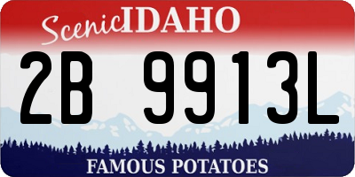 ID license plate 2B9913L