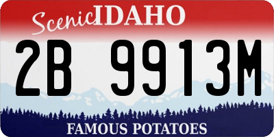 ID license plate 2B9913M